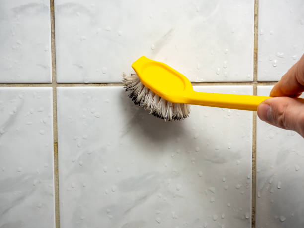 Best Mold Cleaning Services  in Passapatanzy, VA