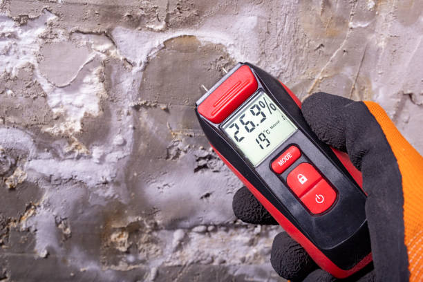 Mold Testing and Removal in Passapatanzy, VA