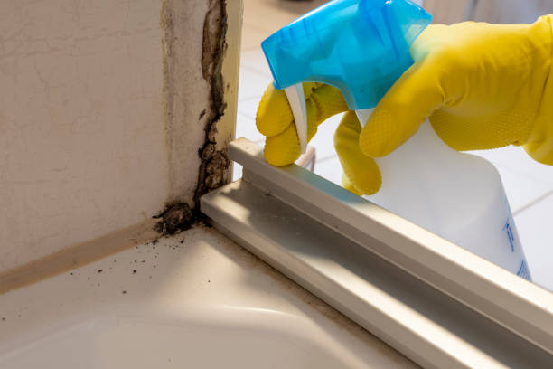 Best Crawl Space Mold Removal  in Passapatanzy, VA