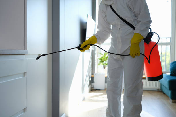 Mold Testing and Removal in Passapatanzy, VA
