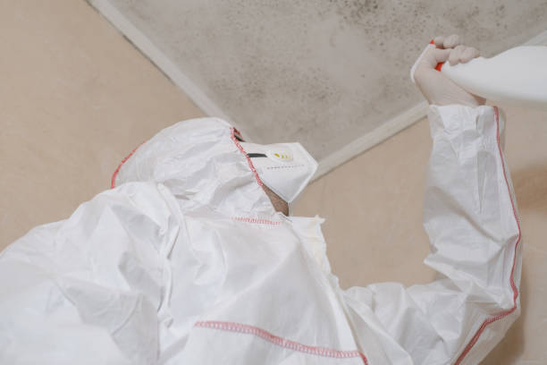 Passapatanzy, VA Mold Removal Company