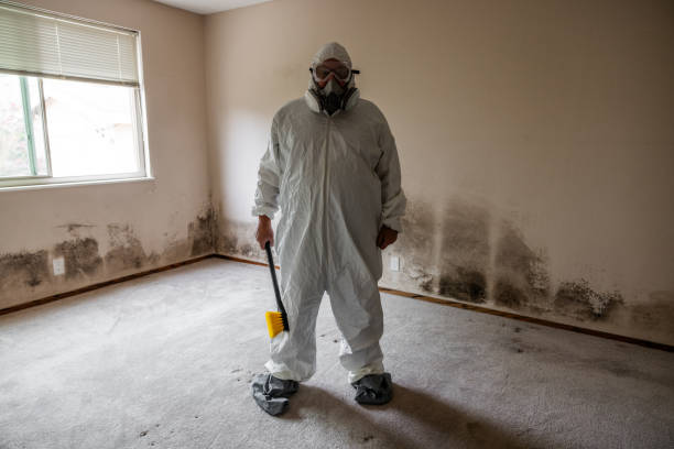 Best Mold Remediation  in Passapatanzy, VA